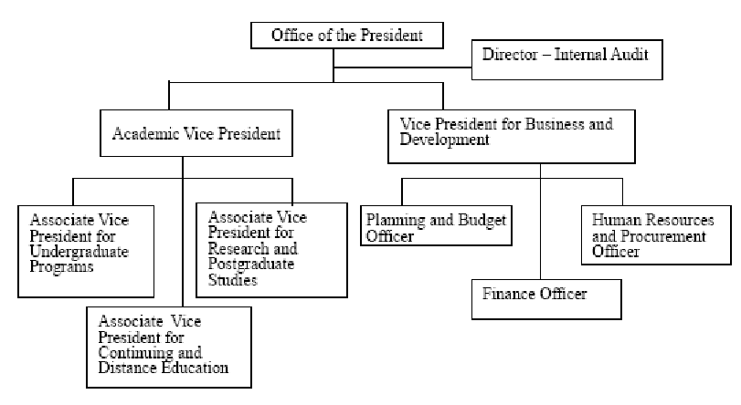 Organizational-structure-an-Ethiopian-university